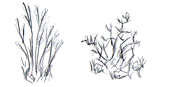 graphics_list_brushes.png