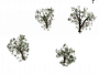 trees_2.png